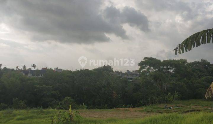 Hot List of Land for Sale Loss Sungai View Sungai Sawah Location Buwit Beraban Kediri Tabanan  2