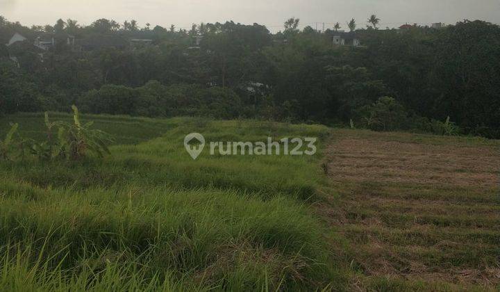 Hot List of Land for Sale Loss Sungai View Sungai Sawah Location Buwit Beraban Kediri Tabanan  1