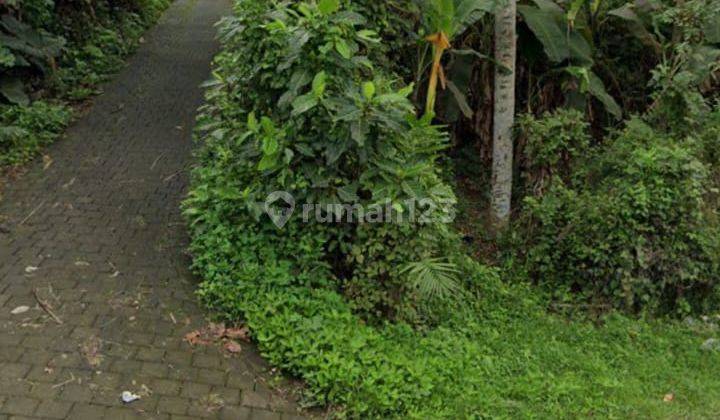 Hot List Di Jual Tanah Lokasi Mas Ubud Gianyar  2