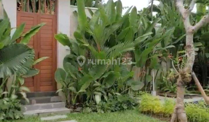 Hot List for Sale Villa Complex Location Babakan Canggu North Kuta Badung 1