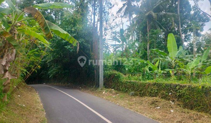 Hot List Di Jual Tanah Pinggir Jalan View Sawah Lokasi Junjungan Ubud Gianyar  1