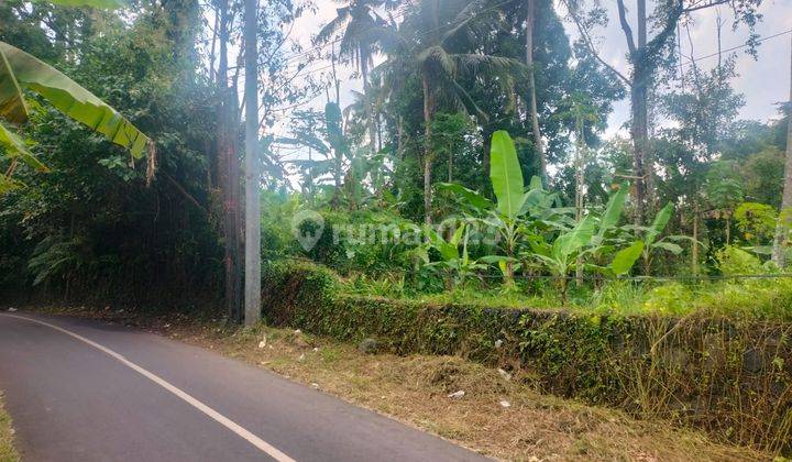 Hot List Di Jual Tanah Pinggir Jalan View Sawah Lokasi Junjungan Ubud Gianyar  2