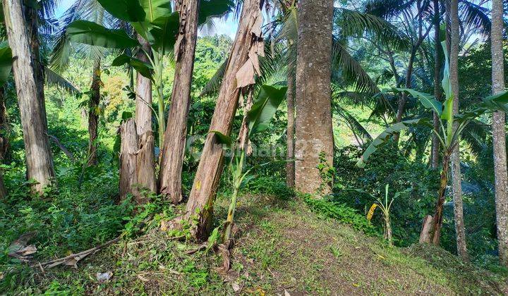 Hot List Di Jual Tanah View Lembah Sungai Ayung Lokasi Kedewatan Ubud Gianyar  2