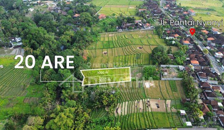 Hot List Termurah Di Kelasnya Di Jual Tanah View Sawah Lokasi Nyanyi Beraban Kediri Tabanan 1