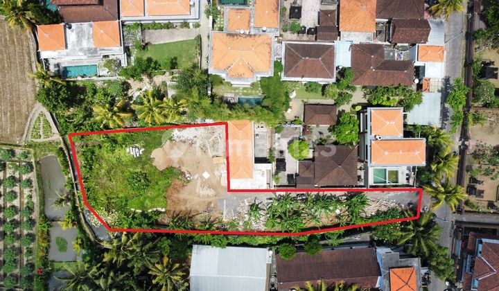 Hot List Termurah Di Kelasnya Di Jual Tanah Loss Sungai View Sungai Lokasi Lodtunduh Ubud Gianyar 