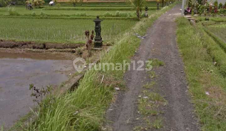 Cheapest Hot List in its Class for Sale of Land in the Pejeng Ubud Gianyar Location
