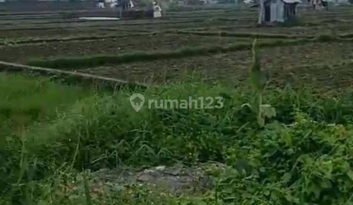 Hot List of Land for Sale in Tukad Badung Renon, South Denpasar  1