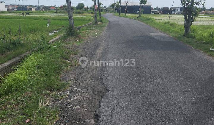 Hot List Di Jual Tanah Kavling Lokasi Pantai Lima Pererenan Mengwi Badung 1