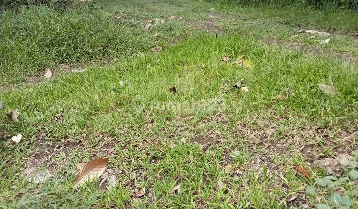 Hot List Di Jual Tanah Kebun Lokasi Lumbung Kauh Selemadeg Barat Tabanan 1