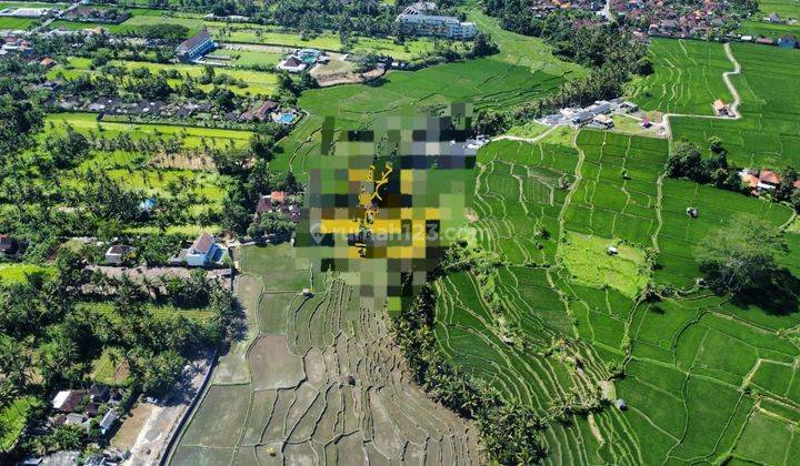 Hot List Land for sale in Lodtunduh Ubud Gianyar  1