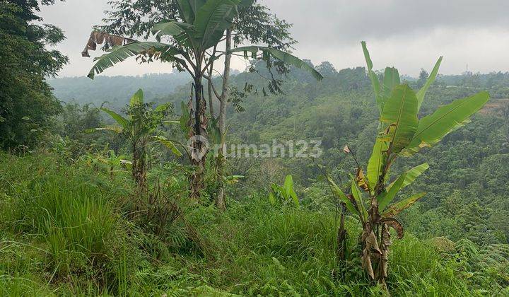 Hot List Di Jual Tanah Lokasi Plaga Petang Badung 1