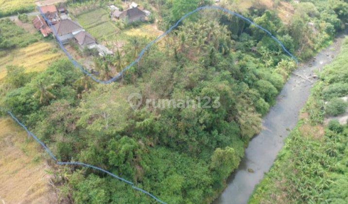 Hot List For Sale Land Loss Sungai Location Lodtunduh Ubud Gianyar  2