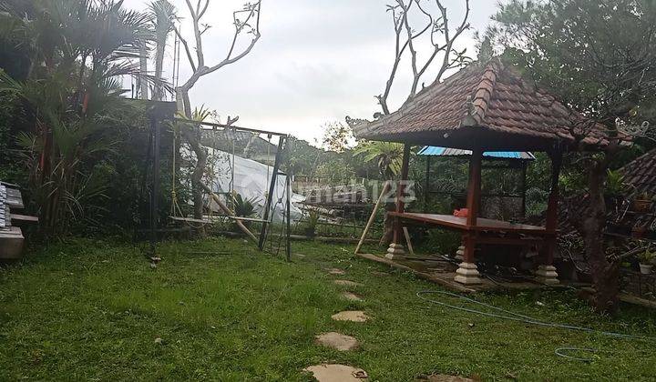 Hot List Di Jual Tanah Bonus Bangunan Lokasi Abiansemal Badung 2