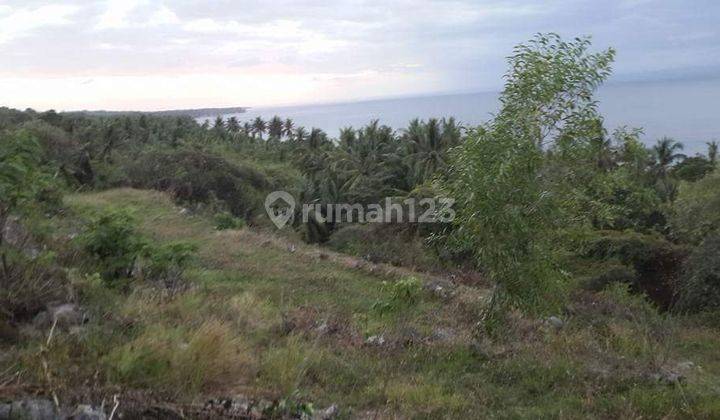 Hot List Di Jual Tanah Loss Pantai View Paud Lokasi Ped Nusa Penida Klungkung 2