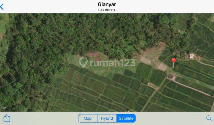 Hot List of land for sale with loss of river view of rice fields, Tegallalang location, Ubud, Gianyar 1