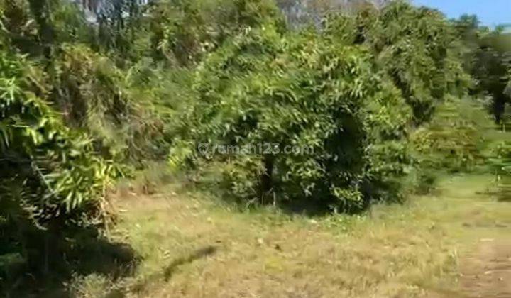 Hot List of Land for Sale in Kubucepat Buleleng 2