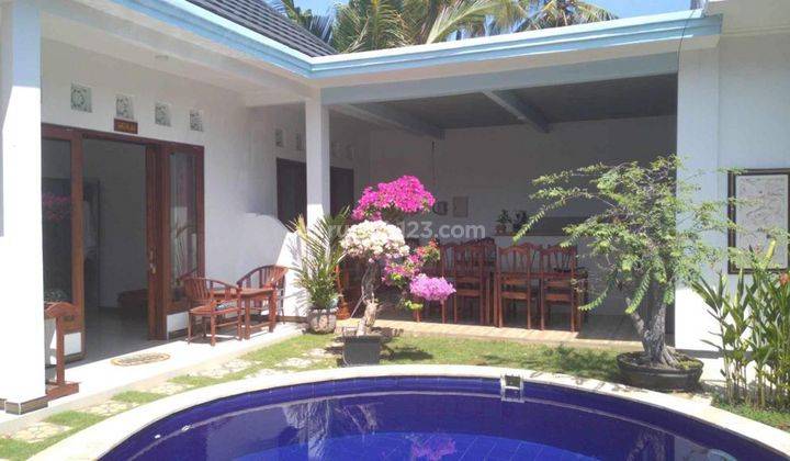 Hot List of Villas for Sale in Lovina Buleleng Location 2