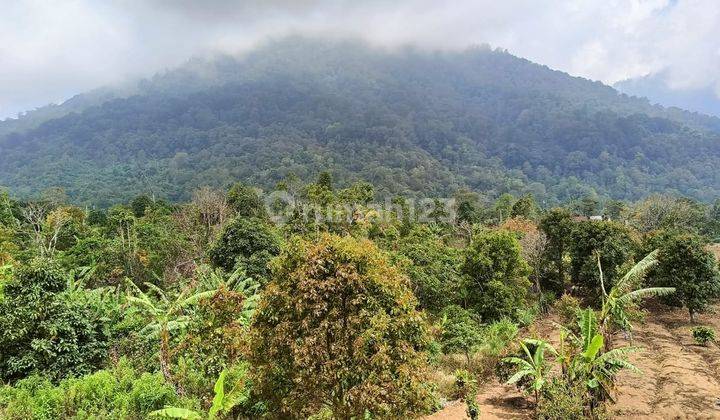 Hot List of Land for Sale with Mount Bukit View, Gesing Banjar Buleleng Location 2