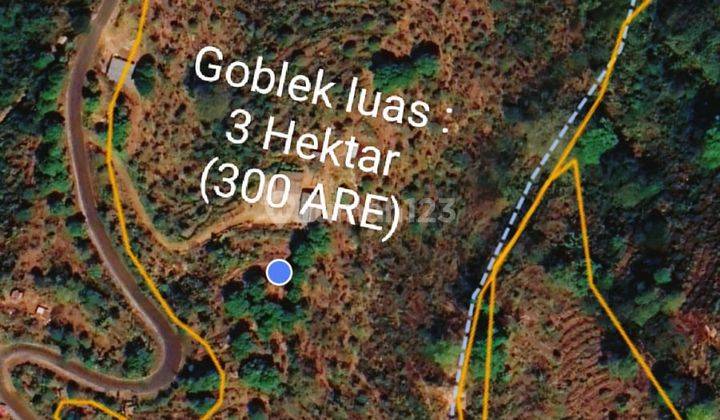 Hot List of Land for Sale in Gesing Buleleng Location 2