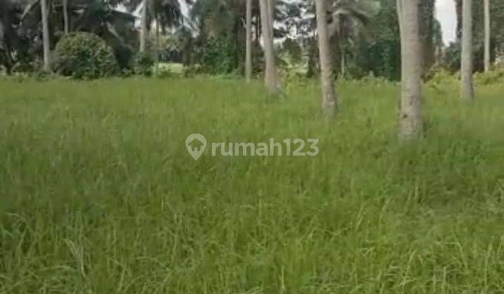 Hot List Di Jual Tanah View Sawah Hutan Lokasi Lodtunduh Ubud Gianyar 1