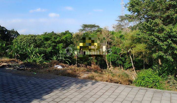 Hot List Di Jual Tanah Lokasi Nyanyi Beraban Kediri Tabanan  2