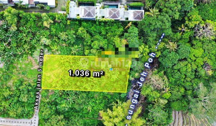 Hot List Di Jual Tanah Lokasi Nyanyi Beraban Kediri Tabanan  1