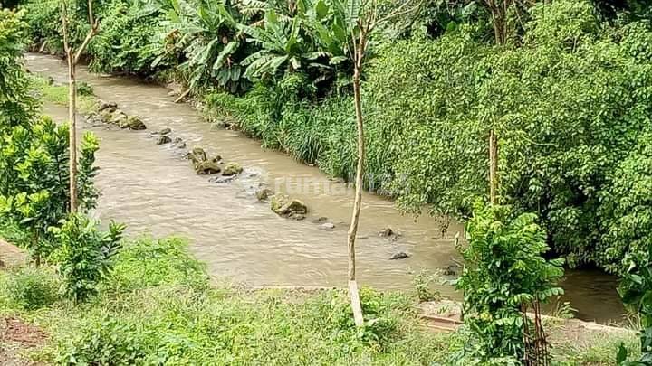 Hot List of Land for Sale at Wos River View Sawah Location Lodtunduh Ubud Gianyar  1