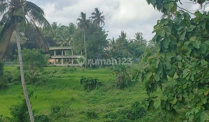 Hot List of Land for Sale with Rice Field View, Singakerta Ubud Gianyar Location  1