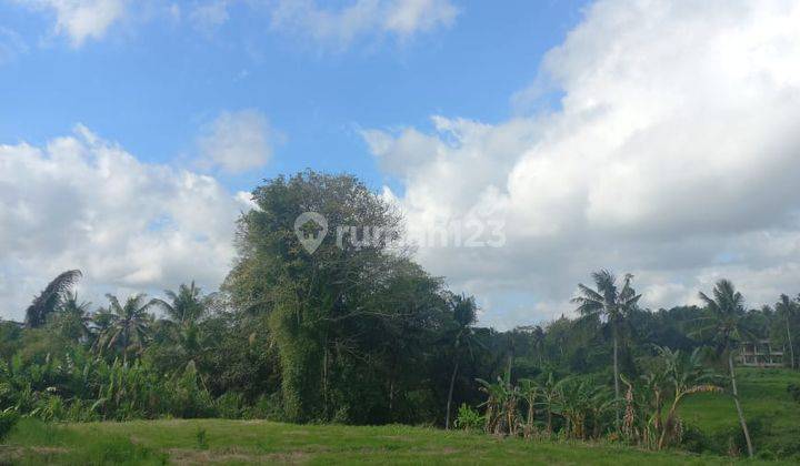 Hot List of Land for Sale with Rice Field View, Singakerta Ubud Gianyar Location  2