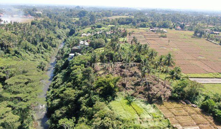 Hot List For Sale Land Loss Sungai Wos Location Lodtunduh Ubud Gianyar 2