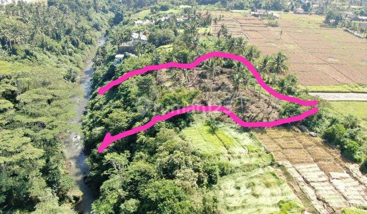 Hot List For Sale Land Loss Sungai Wos Location Lodtunduh Ubud Gianyar 1