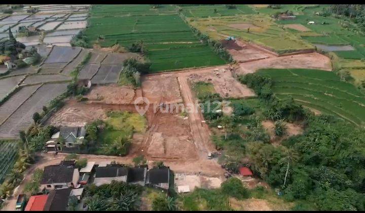 Hot List Di Jual Tanah Lokasi Bona Gianyar  2