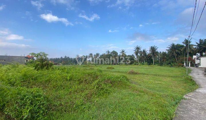 Hot List Di Jual Tanah Lokasi Peliatan Ubud Gianyar  2