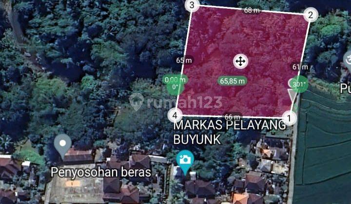 Hot List Di Jual Tanah Loss Sungai View Sawah Hutan Lokasi Nyambu Kediri Tabanan 1