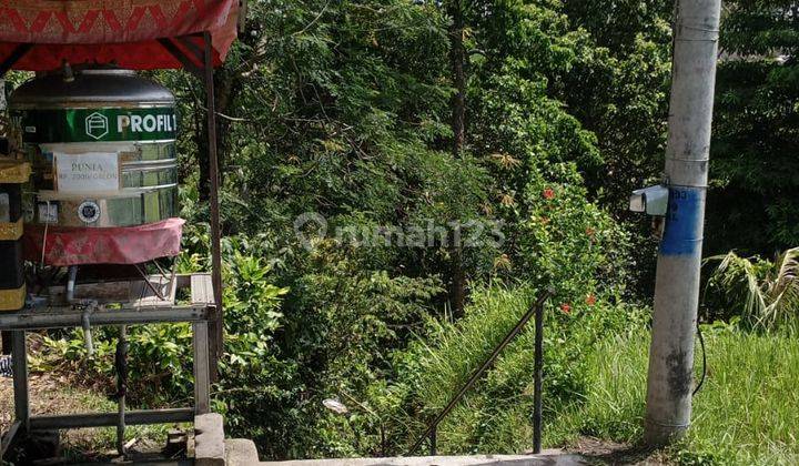 Hot List Di Jual Tanah Loss Sungai View Sawah Hutan Lokasi Nyambu Kediri Tabanan 2