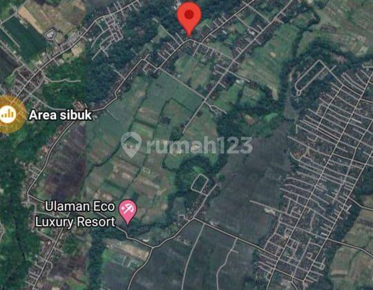 Hot List of Land for Sale in Nyambu Kediri Tabanan Location 1