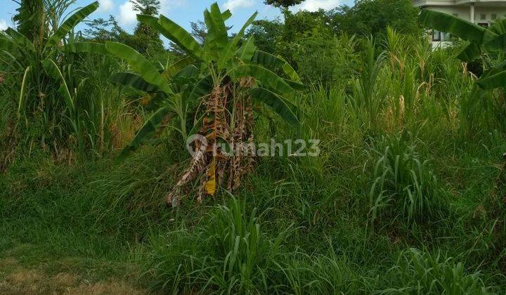 Hot List Di Jual Tanah Lokasi Dewi Sri Kuta Badung 1