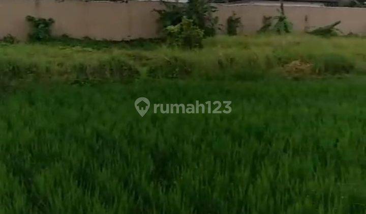 Hot List of Land for Sale with Rice Field View, Kemenuh Ubud Location 1