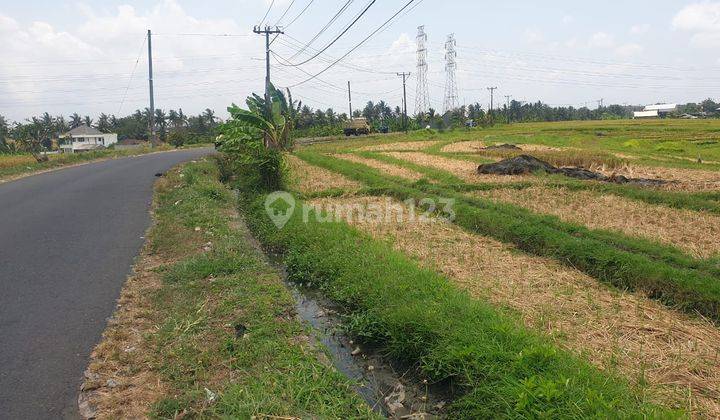 Hot List For Sale Roadside Land Location Kaba Kaba Kediri Tabanan  1