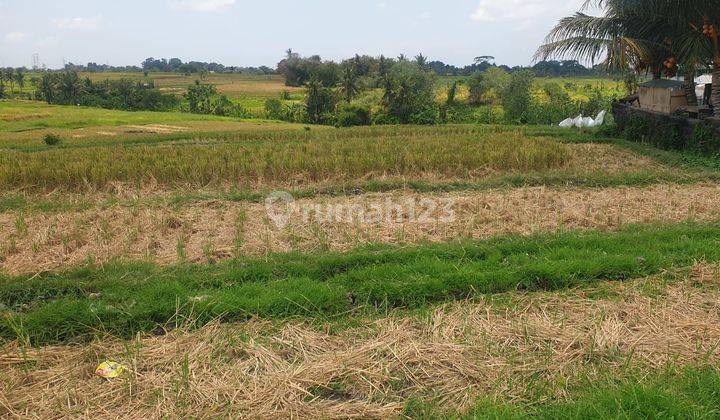 Hot List For Sale Roadside Land Location Kaba Kaba Kediri Tabanan  2