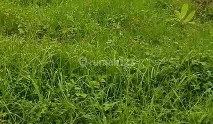 Hot List of Land for Sale in Kaba Kaba Kediri Tabanan Location 1