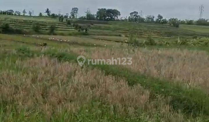 Hot List of Land for Sale in Kaba Kaba Kediri Tabanan Location 2