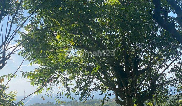 Hot List Di Jual Tanah View Laut Lokasi Jalan Pantai Cemongkak Pecatu Kuta Selatan Badung 1