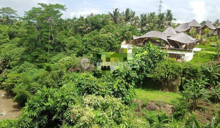 Hot List For Sale Land Loss Sungai Glogor Location Lodtunduh Ubud Gianyar 1