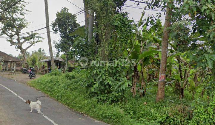 Hot List Di Jual Tanah Lokasi Sayan Ubud Gianyar 2