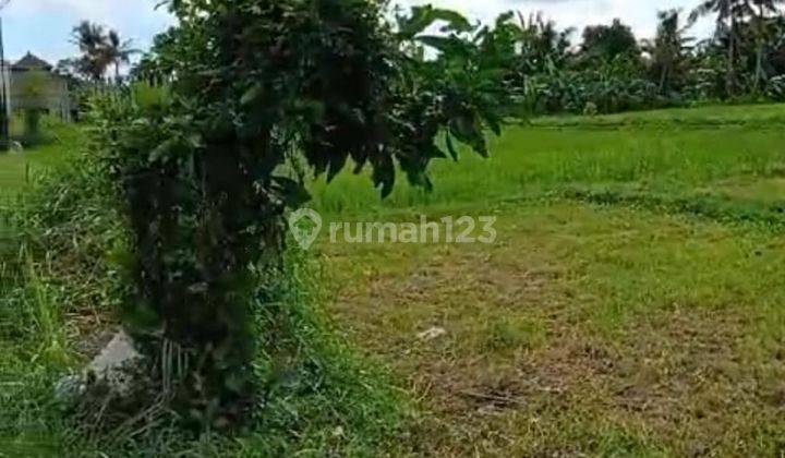 Hot List Land for sale on the side of the road in Kaba Kaba Kediri Tabanan 2