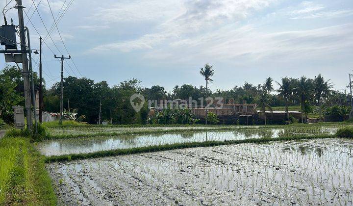 Hot List Land for sale in Sanyyi Beraban Kediri Tabanan 1