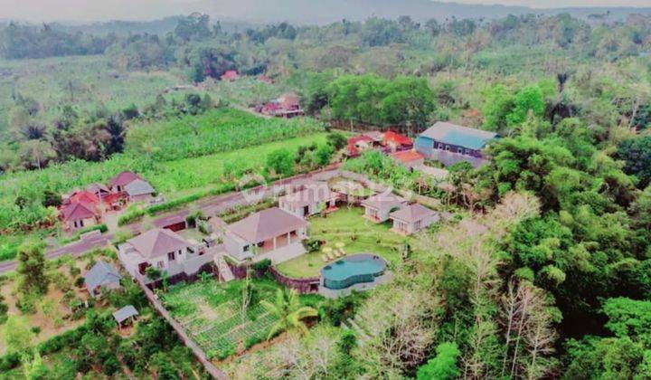 Hot List Di Jual Villa Lokasi Payangan Ubud Gianyar 2