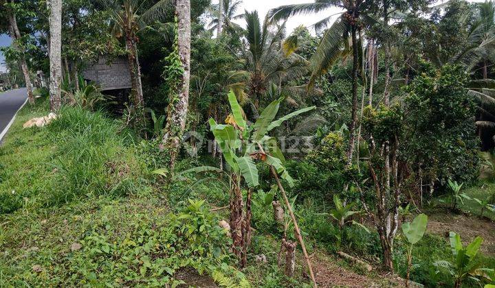 Hot List Land for sale on the outskirts of Utama Street, Sebatu Tegallalang Ubud Gianyar 2