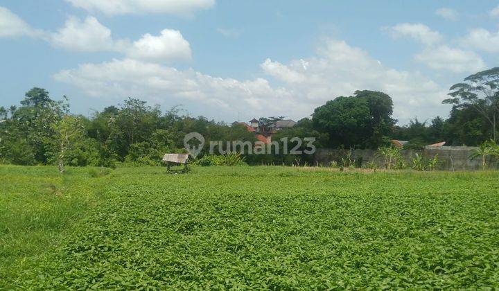 Hot List Di  Tanah Pinggir Jalan Utama Bonus Ruko Lokasi Kerobokan Kuta Utara Badung 1